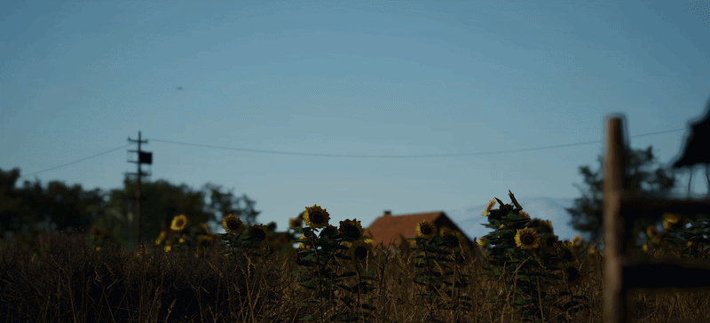 SCUM October Update 1.3.4 Expands Fishing and Ends Into the Wild