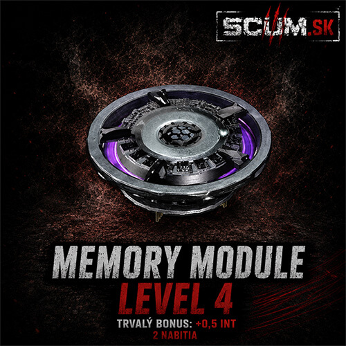Memory module (+0.5 INT)